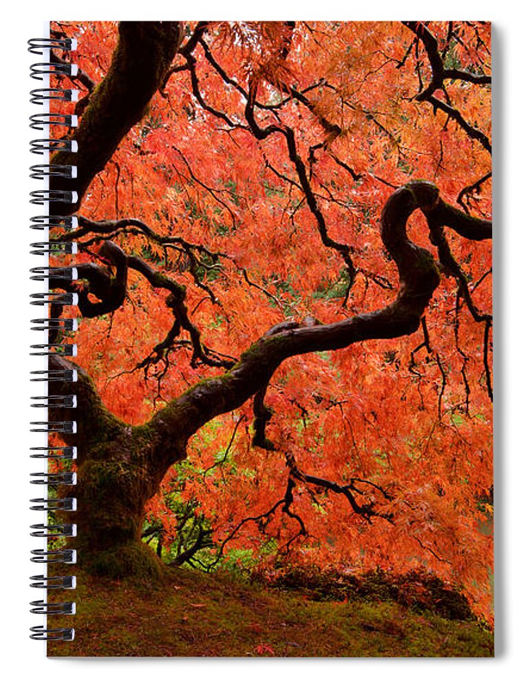 Asian Spiral Notebook featuring the photograph Fuego by Don Schwartz