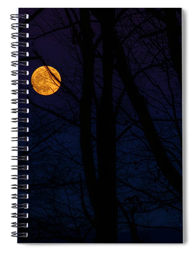 Full Moon Spiral Notebook featuring the photograph Full Moon and Belt of Venus by Thomas R Fletcher
