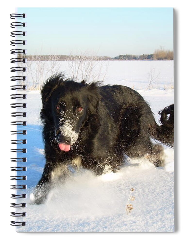 Dog Spiral Notebook featuring the photograph Fun in the Snow Running by Kent Lorentzen