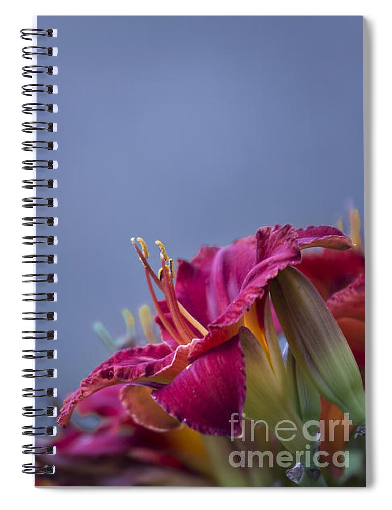 Fuchsia Spiral Notebook featuring the photograph Fuchsia on Slate by Andrea Silies