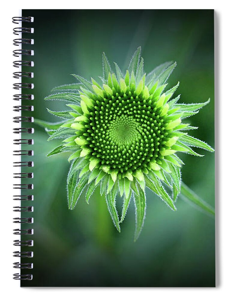 Coneflower Spiral Notebook featuring the photograph Garden Art Structure by Karen Adams