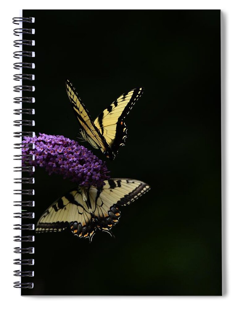 Butterfly Spiral Notebook featuring the photograph Garden of Eden by Carolyn Mickulas