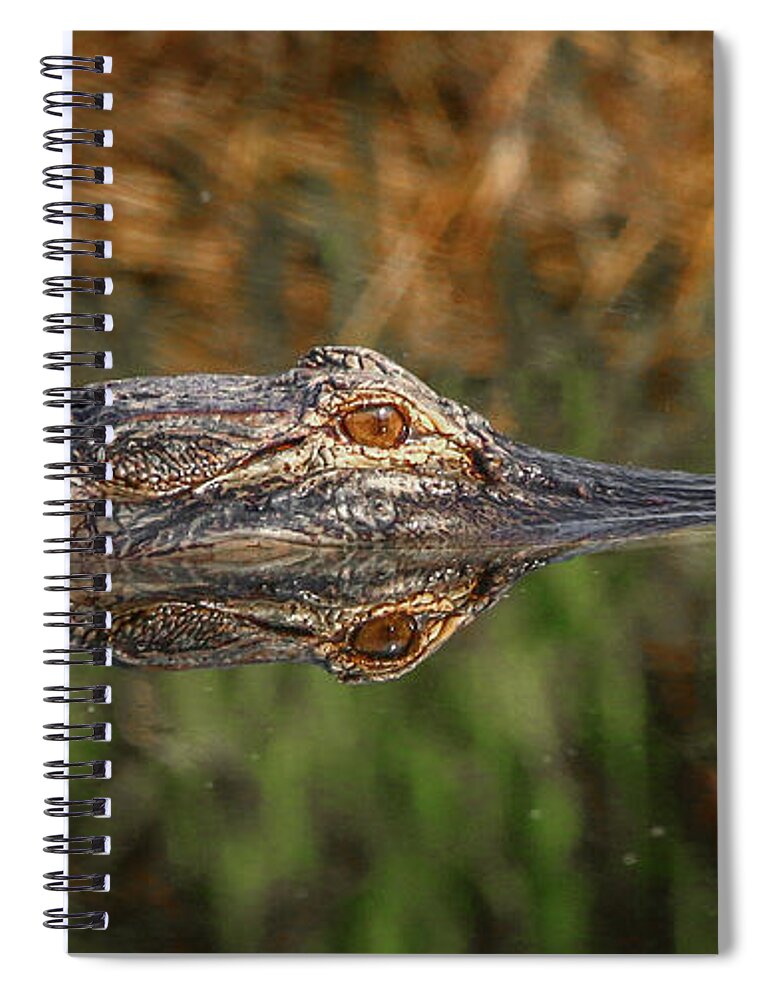 Gator Spiral Notebook featuring the photograph Gator Close-Up by Tom Claud