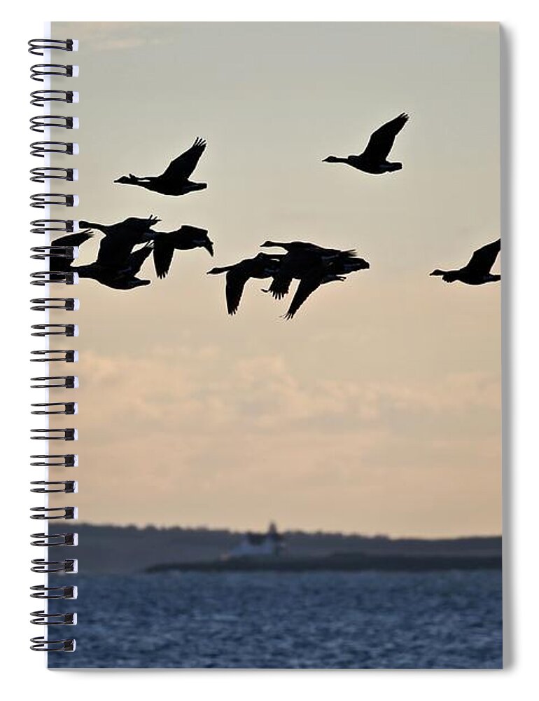 Canada Geese Spiral Notebook featuring the photograph Geese and Cuckholds by John Meader