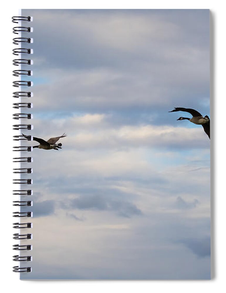 Canada Geese Spiral Notebook featuring the photograph Geese in the Clouds by Holden The Moment