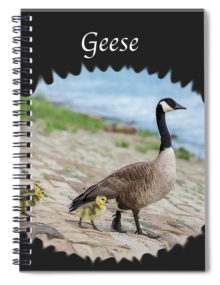 Geese Spiral Notebook featuring the photograph Geese in the Clouds by Holden The Moment