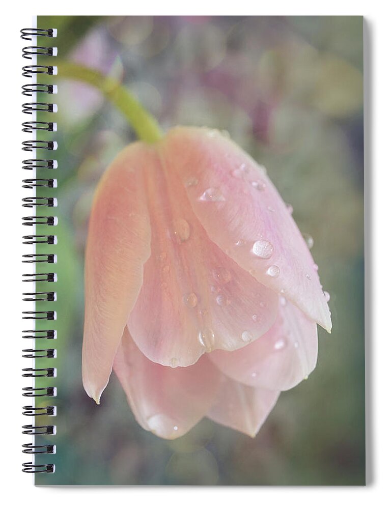 Gentle Spiral Notebook featuring the photograph Gentle Flower Bow by Lilia S