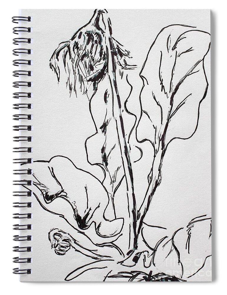 Gerber Daisy Spiral Notebook featuring the drawing Gerber Study I by Vonda Lawson-Rosa