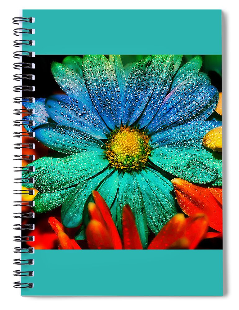  Daisy Spiral Notebook featuring the photograph Gerbera Daisy by Tina LeCour