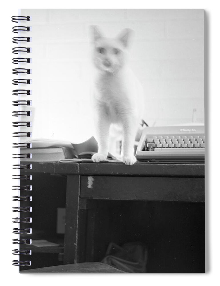 Cat Spiral Notebook featuring the photograph Ghost Cat, with Typewriter by Jeremy Butler