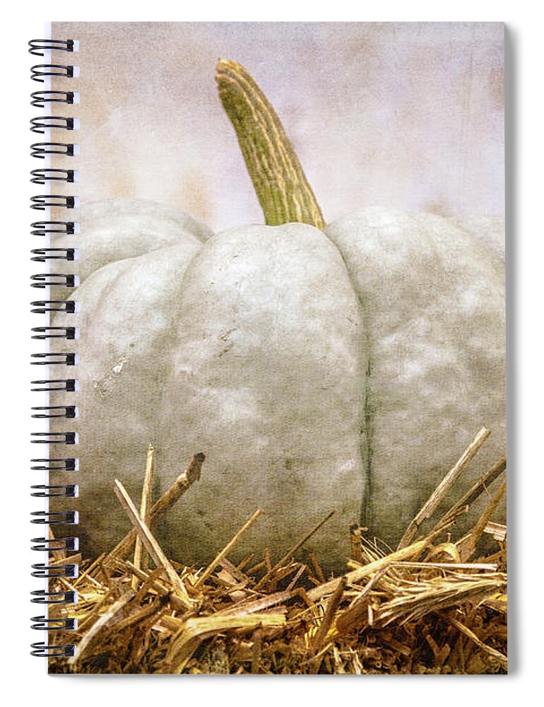 Pumpkin Spiral Notebook featuring the photograph Ghost Pumpkin by Eleanor Abramson