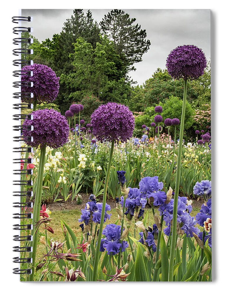 Jean Noren Spiral Notebook featuring the photograph Giant Allium Guards by Jean Noren