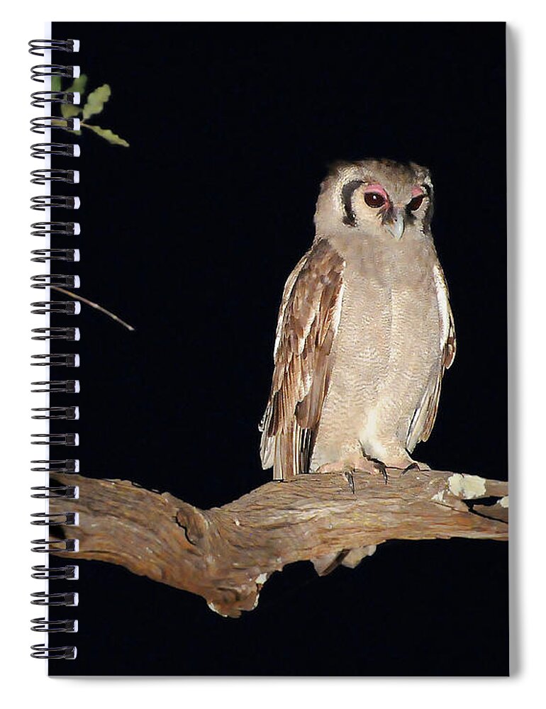 Giant Spiral Notebook featuring the photograph Giant Eagle Owl by Ted Keller
