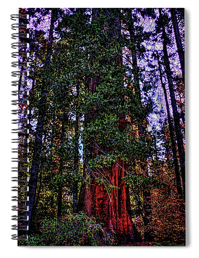 California Spiral Notebook featuring the photograph Giant Sequoia in the Giant Forest by Roger Passman