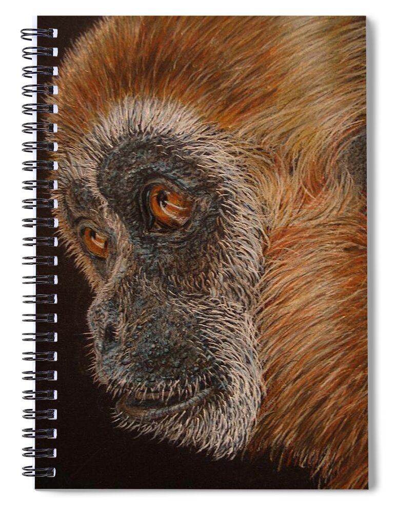 Animals Spiral Notebook featuring the drawing Gibbon by Karen Ilari