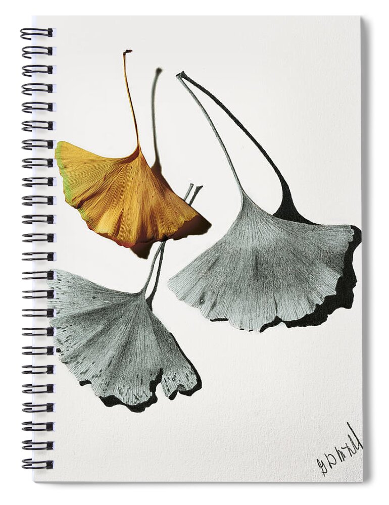 Pencil Drawing Spiral Notebook featuring the mixed media Ginkgo Leaves by Garry McMichael