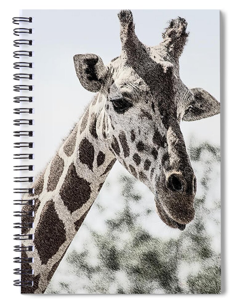 Giraffe Spiral Notebook featuring the digital art Giraffe by Darrell Foster