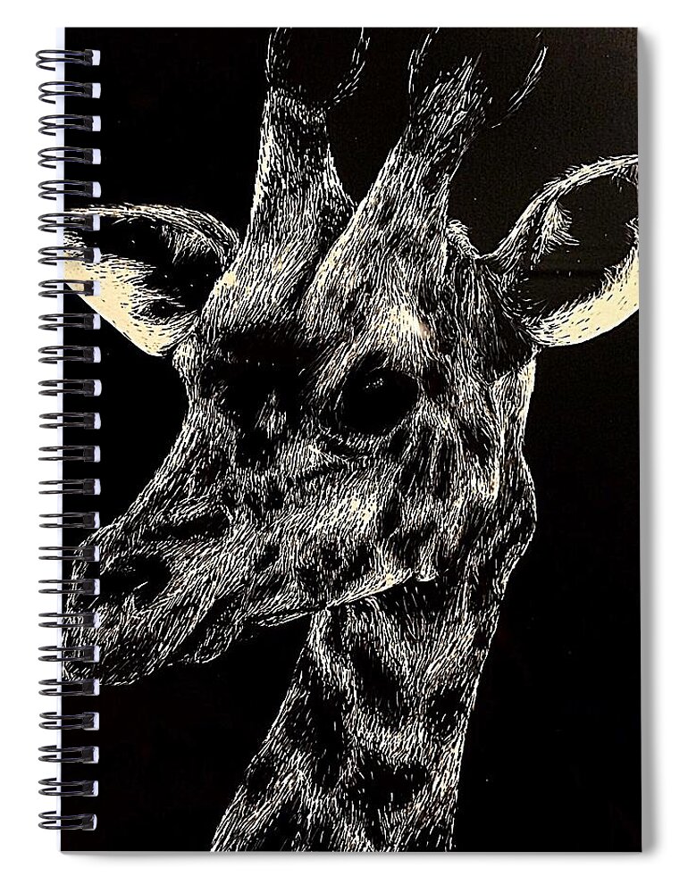 Giraffe Home Decor Wildlife Scratchboards VI Canvas Wall Art Print 