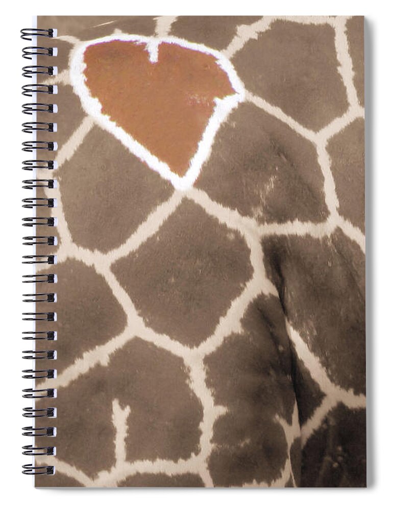 Grraffe Spiral Notebook featuring the photograph Giraffe Love by September Stone