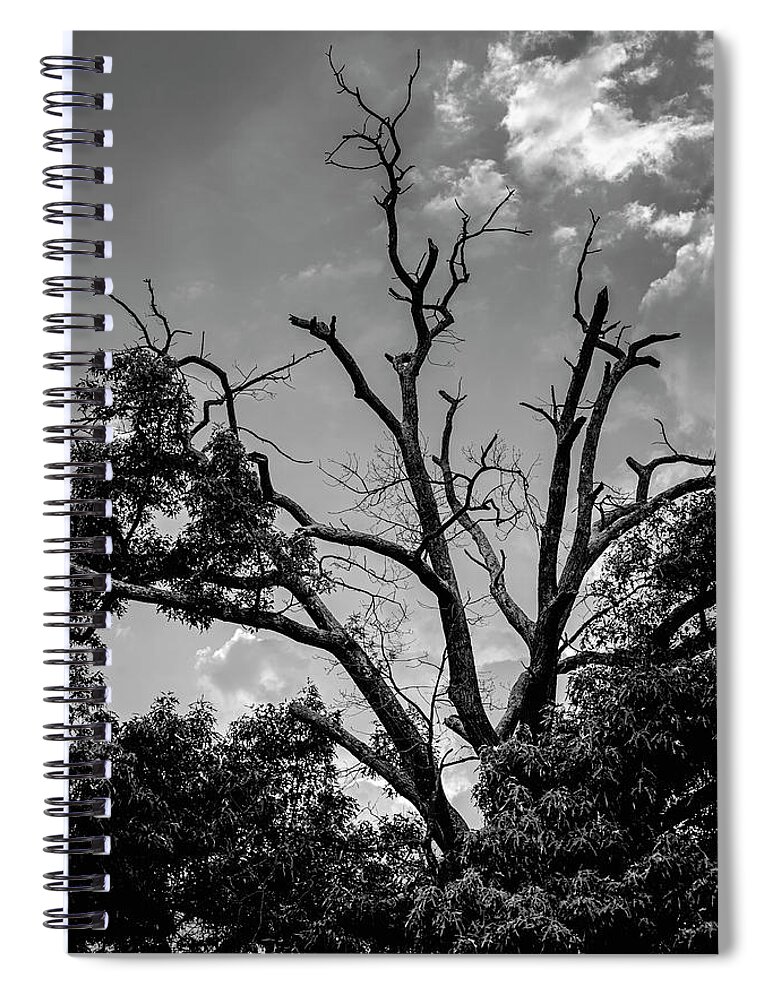 2d Spiral Notebook featuring the photograph Give Me Life by Brian Wallace