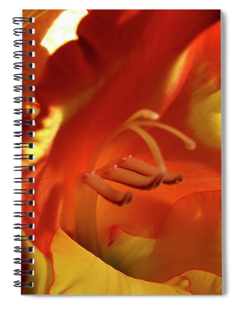 Flowers Spiral Notebook featuring the photograph Gladiola Interior by Nancy Griswold