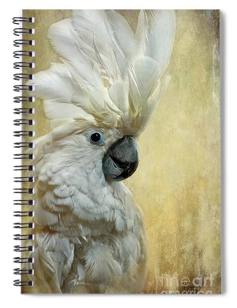 Bird Spiral Notebook featuring the photograph Glamour Girl by Lois Bryan