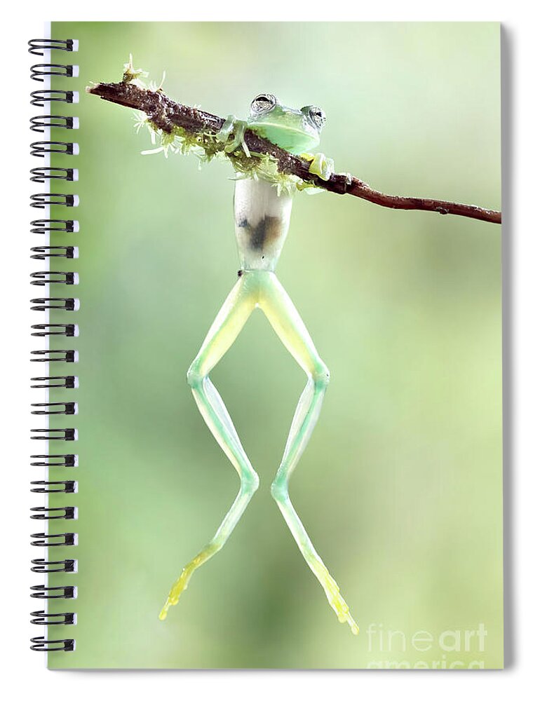 Green Spiral Notebook featuring the photograph Glass Frog by Linda D Lester