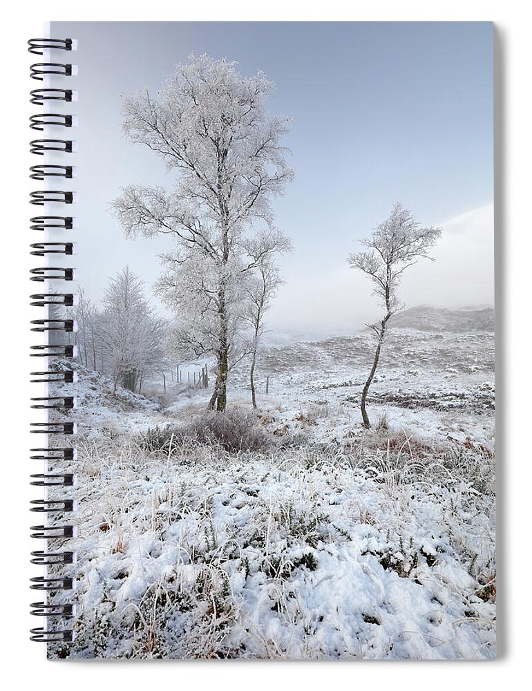 Winter Spiral Notebook featuring the photograph Glen Shiel Misty Winter Trees by Grant Glendinning