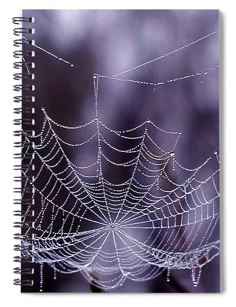 Web Spiral Notebook featuring the photograph Glistening Web by Karol Livote