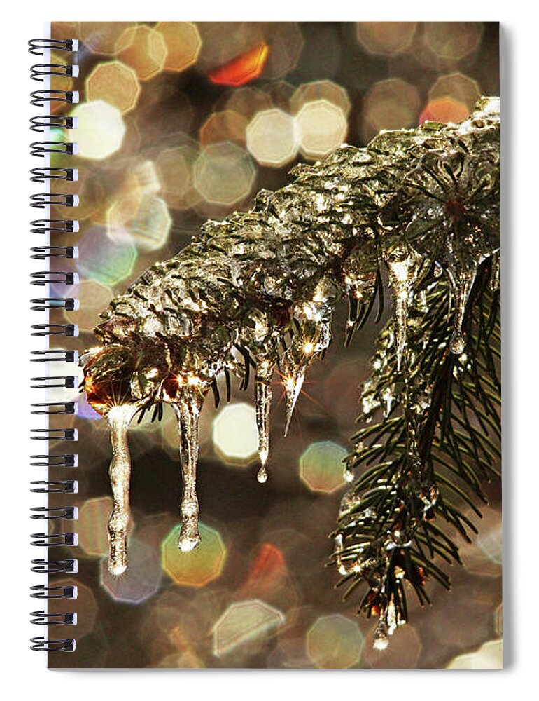 Spruce Tree Spiral Notebook featuring the photograph Glitzy Nature by Debbie Oppermann