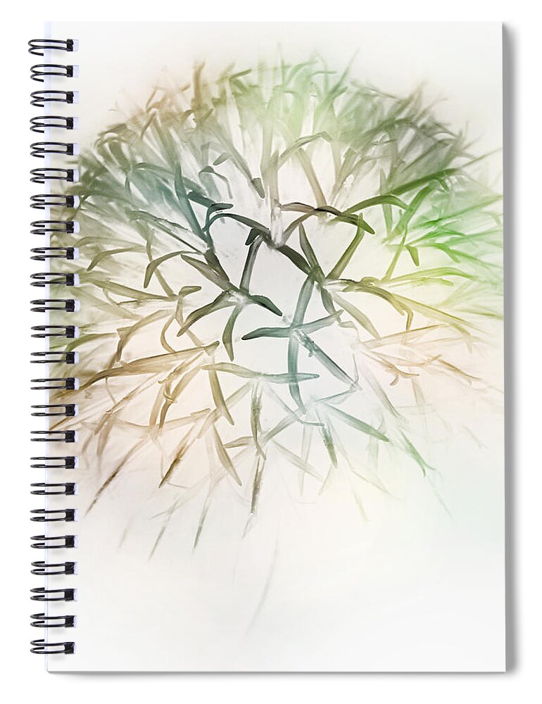 Echinops Exaltatus - Globe Thistle Spiral Notebook featuring the photograph Globe Thistle by John Poon