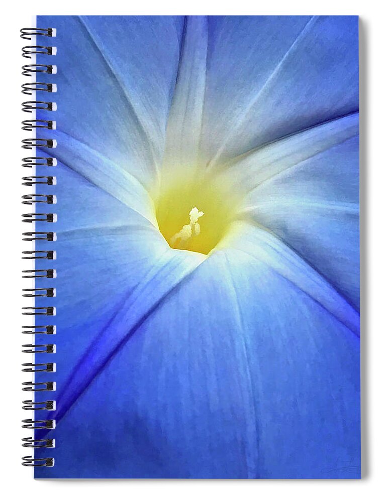 Morning Glory Spiral Notebook featuring the photograph Glorious Morning by Jill Love