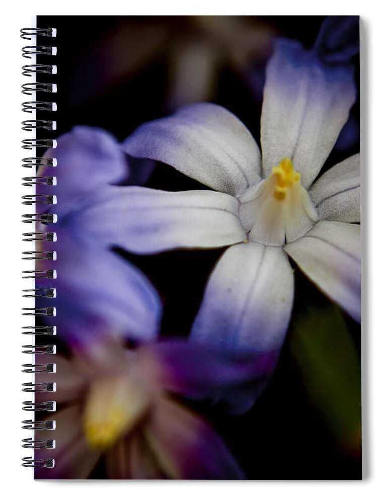 Glory Of The Snow Spiral Notebook featuring the photograph Glory Of The Snow by Spikey Mouse Photography