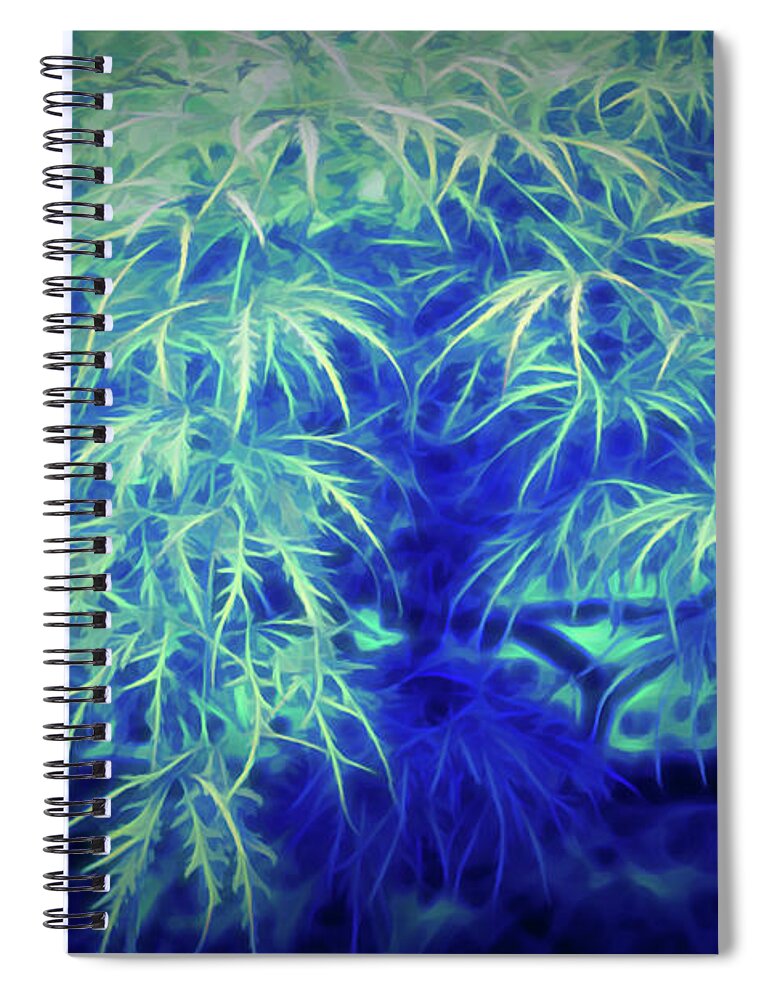 Japanese Maple Spiral Notebook featuring the photograph Glow in the Dark Japanese Maple by Aimee L Maher ALM GALLERY