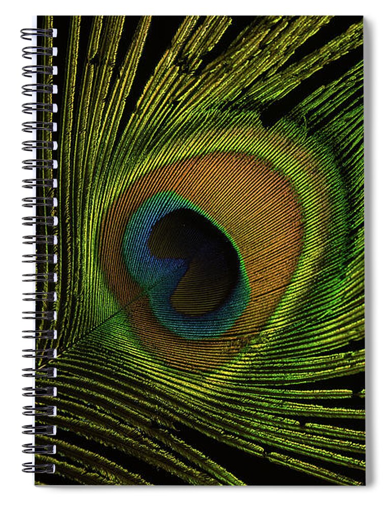 Flowing Spiral Notebook featuring the photograph Glowing Eye by Douglas Barnett