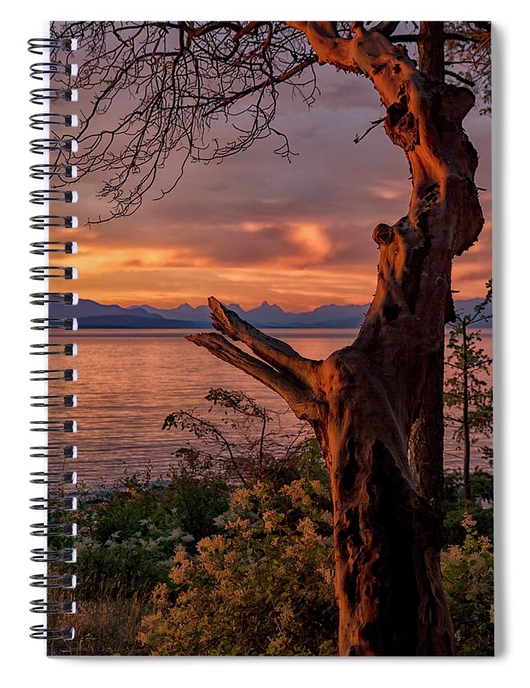 Gnarly Spiral Notebook featuring the photograph Gnarly by Randy Hall