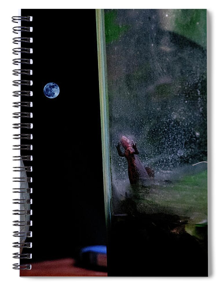 Earth Spiral Notebook featuring the photograph Godzilla Watches and The Moon is Blue by Steven Dunn