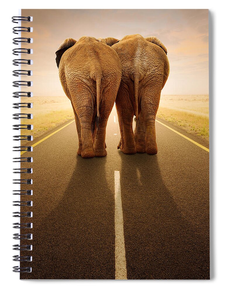 Elephant Spiral Notebook featuring the photograph Going away together / travelling by road by Johan Swanepoel