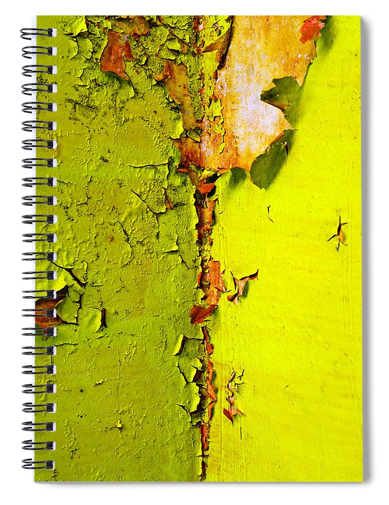 Skip Hunt Spiral Notebook featuring the photograph Going Green by Skip Hunt