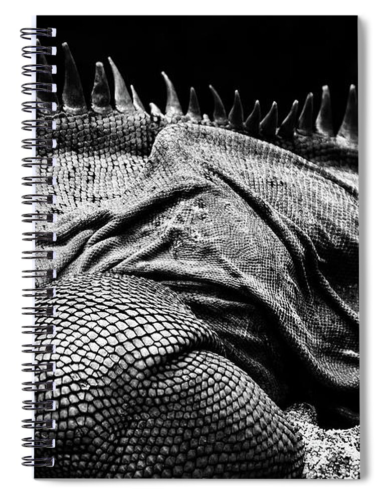 Godzilla Spiral Notebook featuring the photograph Gojira by Jonas Luis