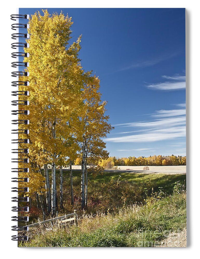 Road Spiral Notebook featuring the photograph Golden Poplar by Linda Bianic