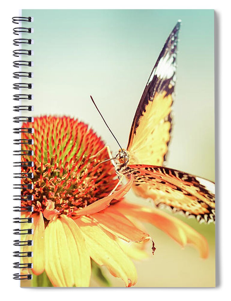  Spiral Notebook featuring the photograph Golden Butterfly by Rebekah Zivicki