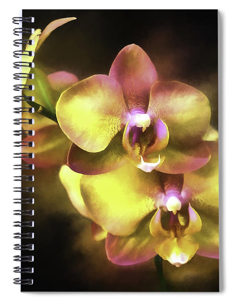 Orchid Spiral Notebook featuring the digital art Golden Days by Ken Frischkorn