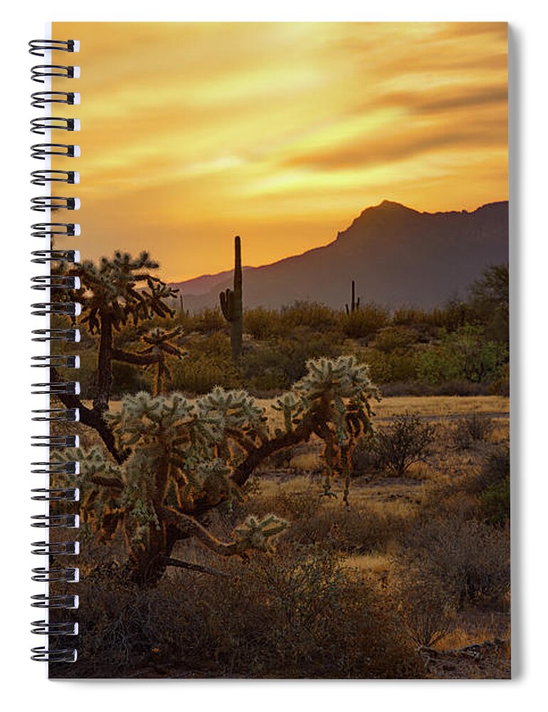 Saguaro Sunset Spiral Notebook featuring the photograph Golden Desert Evening by Saija Lehtonen