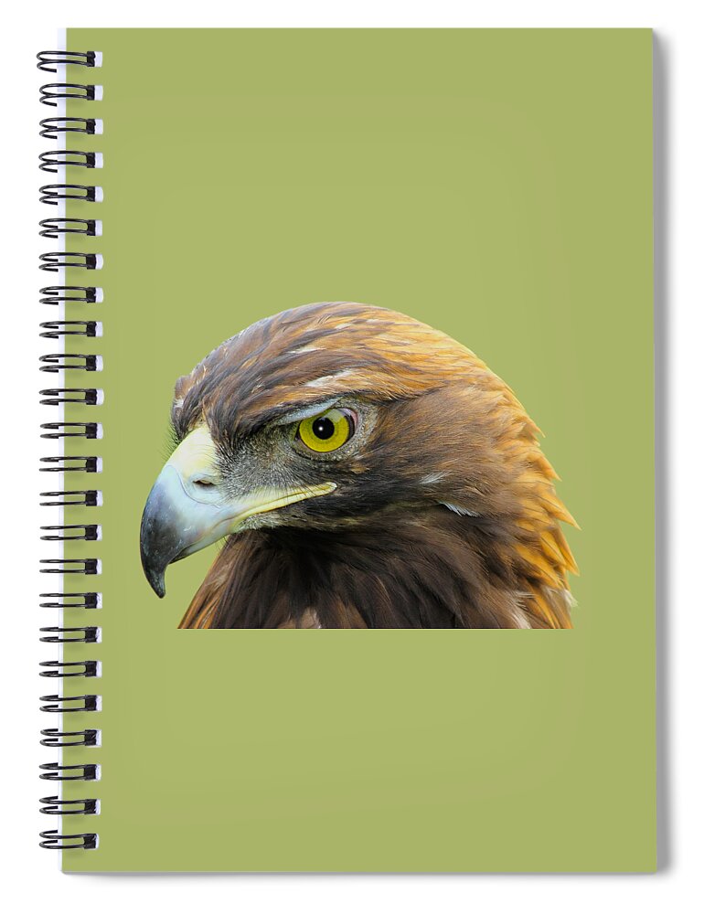 Golden Eagle Spiral Notebook featuring the photograph Golden Eagle by Shane Bechler