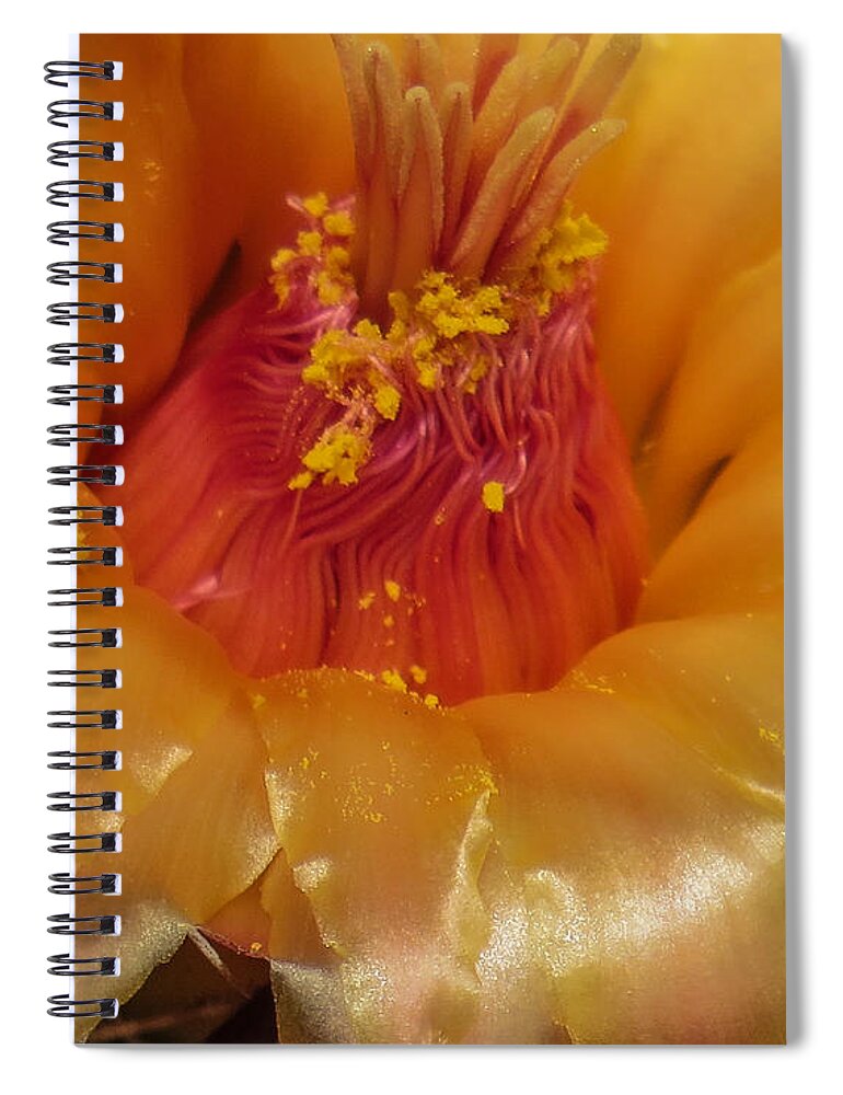 Golden Spiral Notebook featuring the photograph Golden Flower 1 by Christy Garavetto