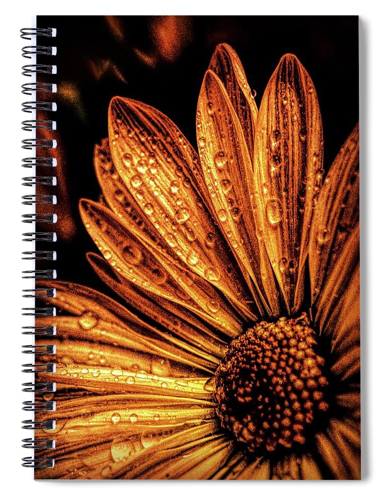 Flower Spiral Notebook featuring the photograph Golden Flower by Lilia S