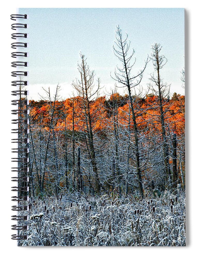  Spiral Notebook featuring the photograph Golden Frost by Doug Gibbons