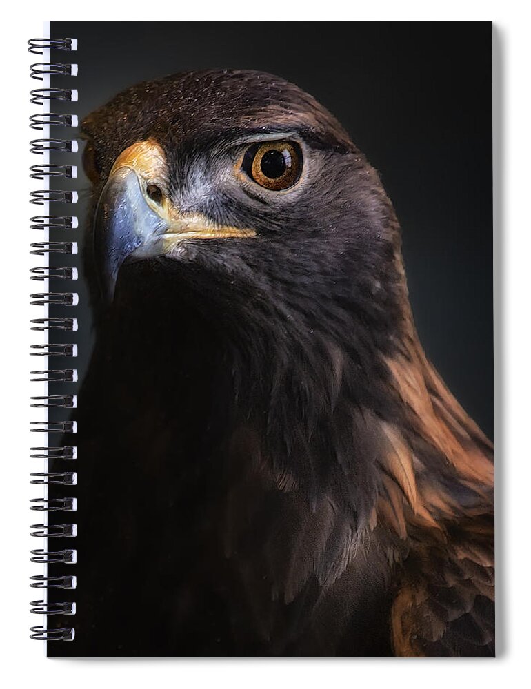 Bird Spiral Notebook featuring the photograph Golden Headshot by Bill and Linda Tiepelman