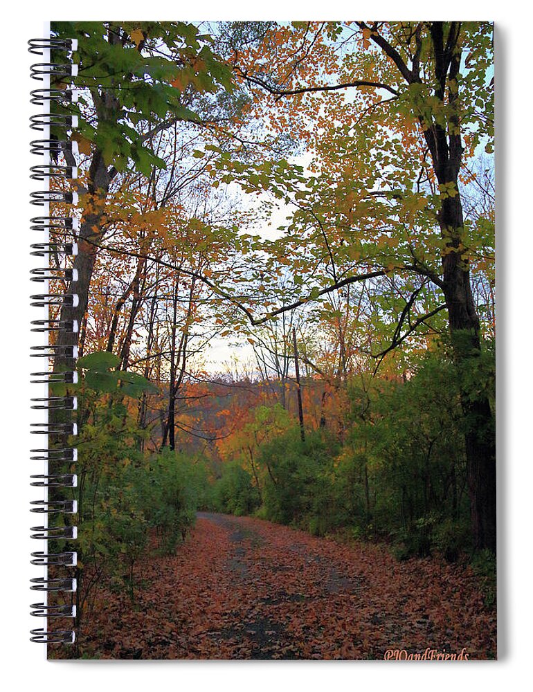 Golden Hour Of Autumn Spiral Notebook featuring the photograph Golden Hour of Autumn by PJQandFriends Photography